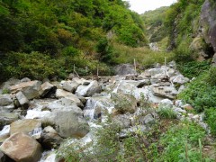 仙人谷にかかる丸木橋