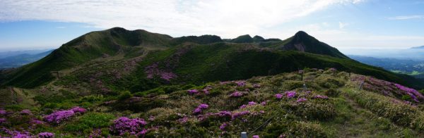 ミヤマキリシマの咲く扇ガ鼻展望台委で見るくじゅう連山、左が星生山