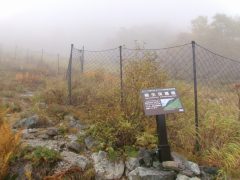 右俣の植生保護柵 植生保護柵
