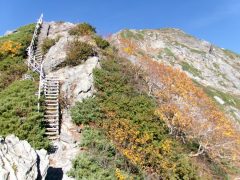 振り返り見る快晴の北岳山頂