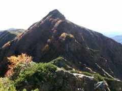 目指す八本歯の頭