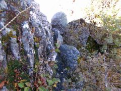 巻き道にかかるトラロープ