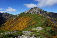 ボーコン沢を出発、吊尾根斜面の紅葉が見事