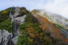 ガスのかかる北岳山頂部