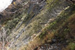 2014年登山時に雪渓から夏道にあがった道場所と推定