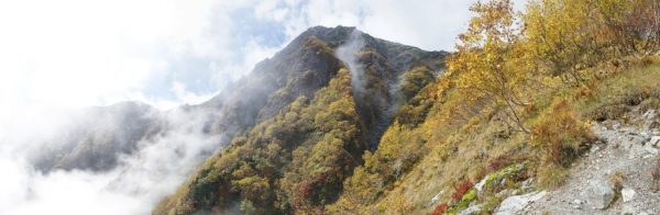 ガスの中から北岳 ガスの中から北岳